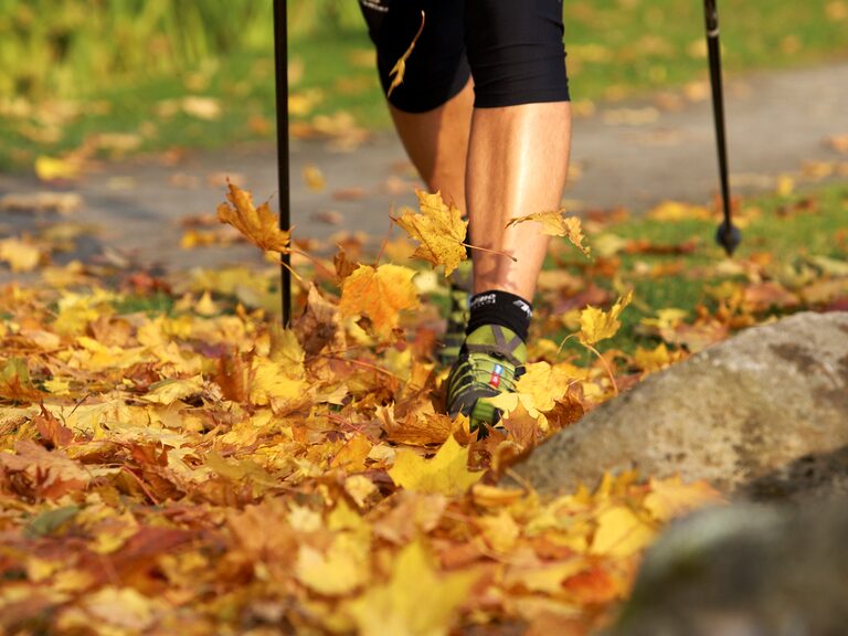 Aktivurlaub Bayerischer Wald