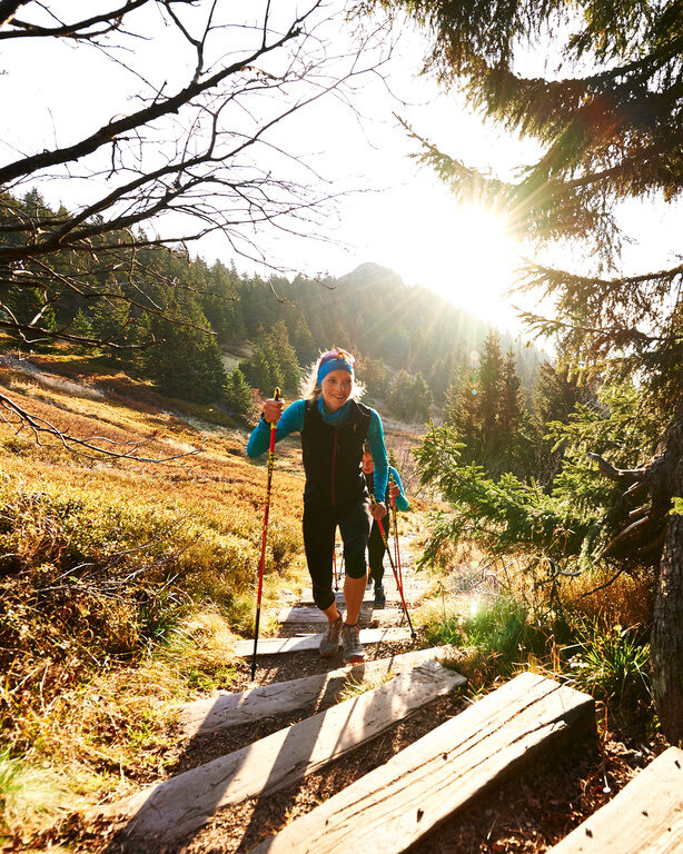 Eine Person wandert auf einem hölzernen Pfad durch den Bayerischen Wald.