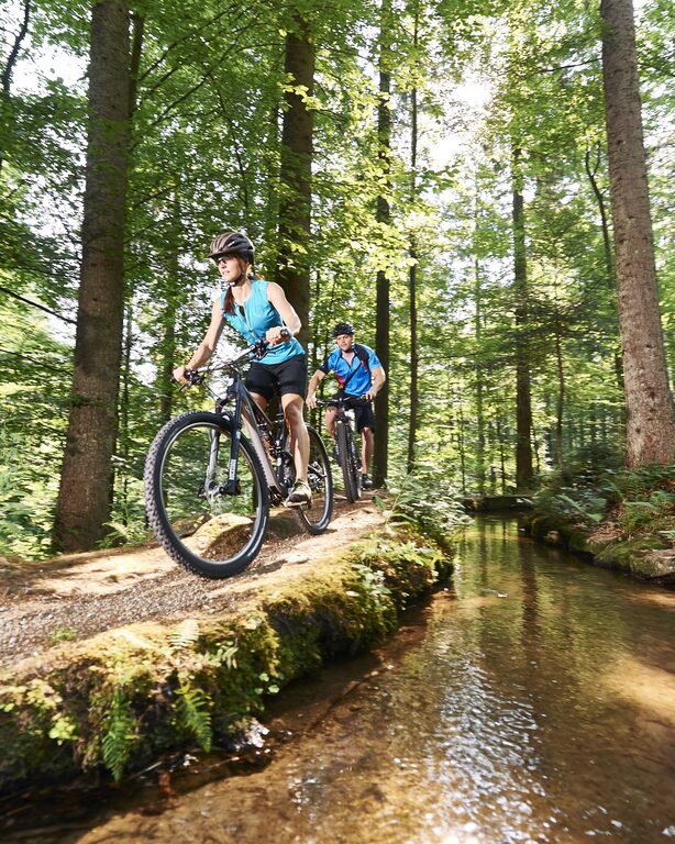 Mountainbiken in Bayern