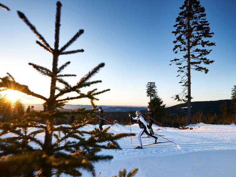 Langlaufeen Reinerhof