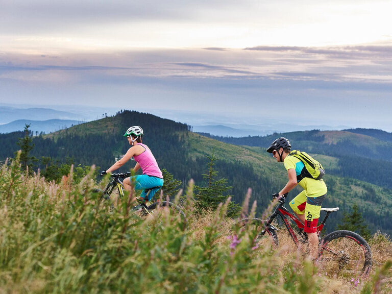 Mountainbiken Reinerhof