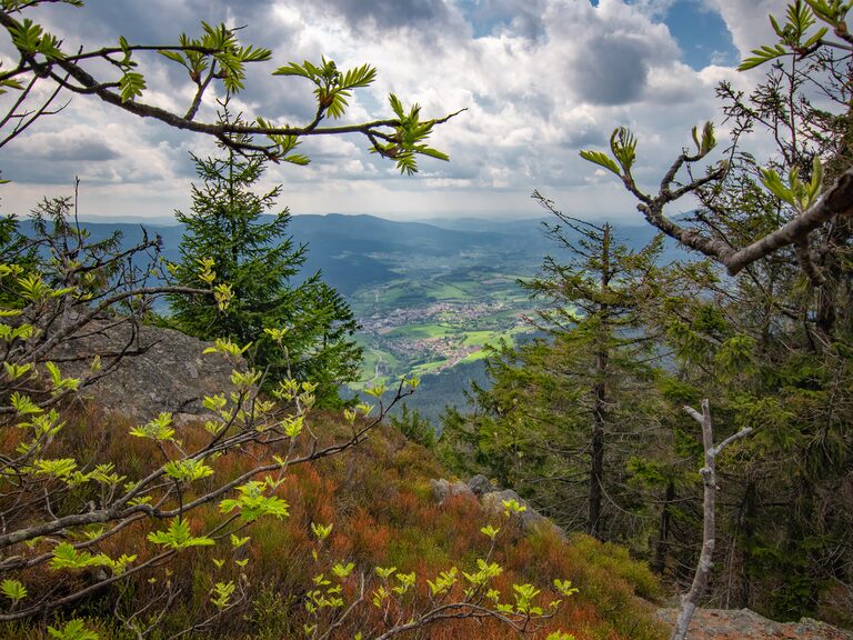 Natururlaub Bayerischer Wald