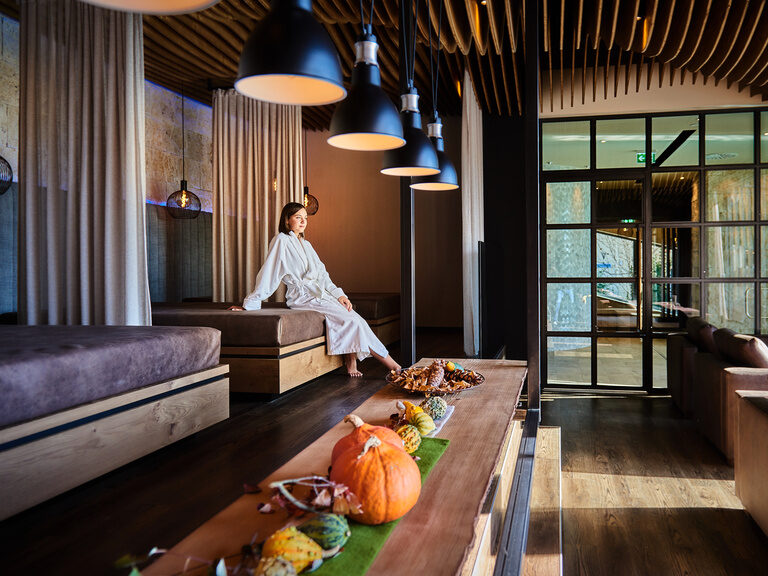 Panoramaruheraum im Reinerhof