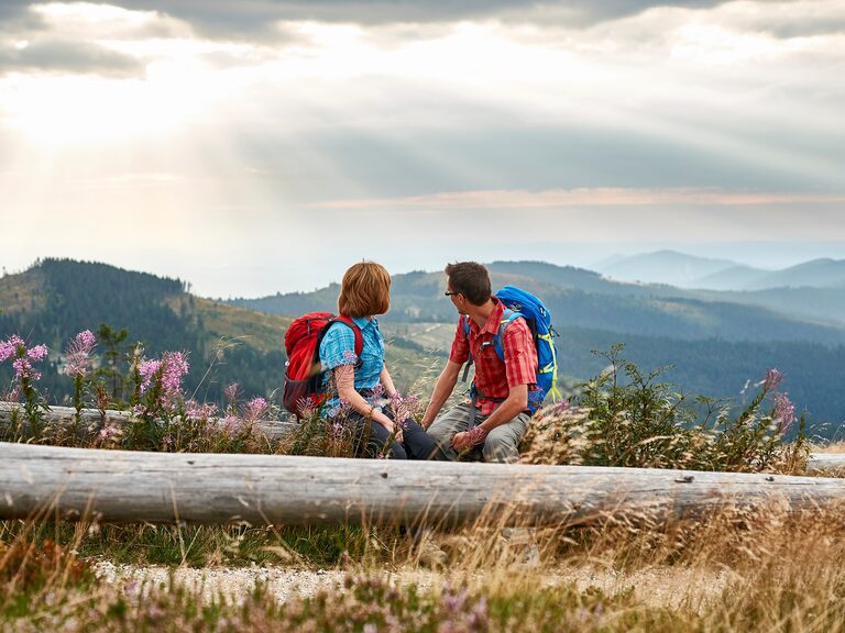 Wanderer nehmen eine wohlverdiente Pause auf einem Baumstamm mit Blick auf den Großen Arber im Bayerischen Wald.