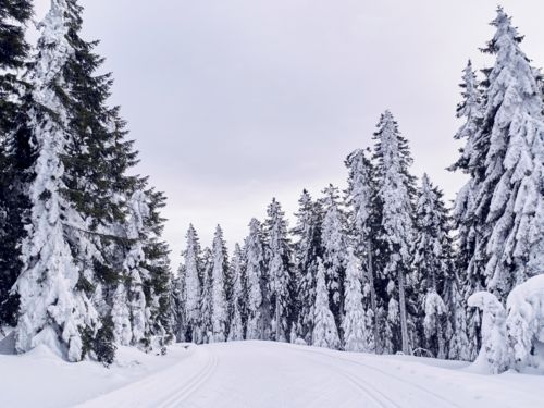 Winterlandschaft Reinerhof